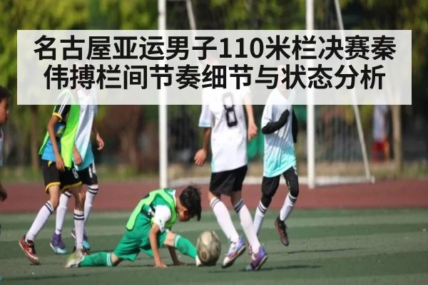 名古屋亚运男子110米栏决赛秦伟搏栏间节奏细节与状态分析