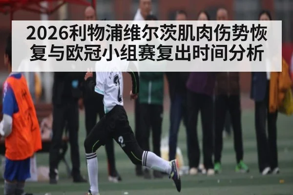2026利物浦维尔茨肌肉伤势恢复与欧冠小组赛复出时间分析